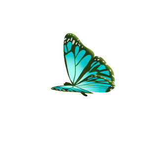 蝴蝶元素新媒体GIF